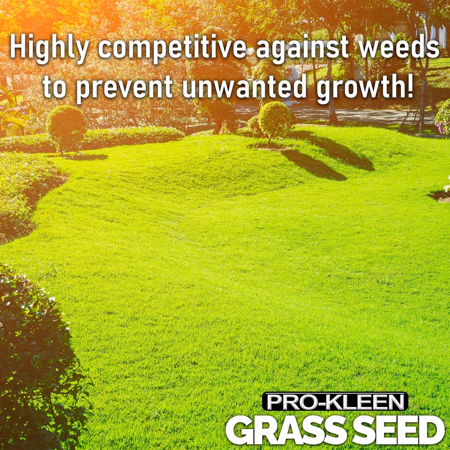ProKleen 3 Way Ryegrass Mix Lawn Seed, Fast Germinating and Multi-Resistant, 10 kg – 3