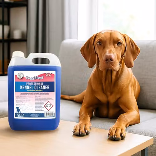 HugglePets Domestic Kennel Cleaner 5L, Fresh Candy Fragrance, Pet-Safe Disinfectant and Deodoriser in Blue – 3