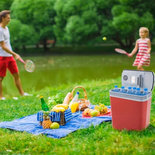 AREBOS Electric Cooler Box with ECO Mode, Red, 20l