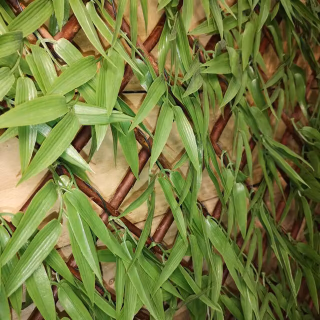 Samuel Alexander Green Bamboo Leaf Artificial Hedge Trellis Willow Backed Privacy Screen, W: 200 cm x H: 100 cm