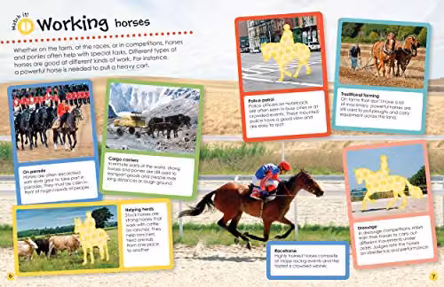 DK Horses and Ponies Ultimate Sticker Book, Multicolour, H x W x D: 28.0 x 21.5 x 0.4 cm – 3