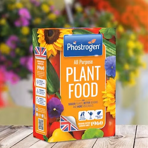 Phostrogen All Purpose Plant Food Granulate, 800g for Indoor and Garden Plants – 5