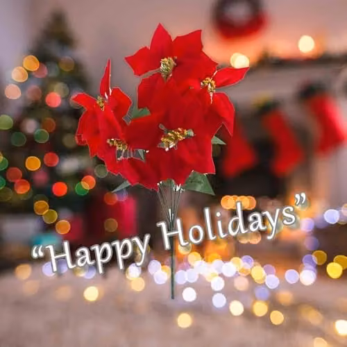 VFM e-Store 5 Head Poinsettia Bunch Christmas Floral Decoration in Red and Green, 48 cm – 4