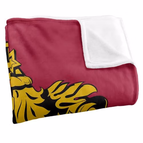 LOGOVISION Harry Potter Gryffindor Crest Super Soft Fleece Throw Blanket, Multicolour, W: 152.4 cm x D: 127.0 cm – 2