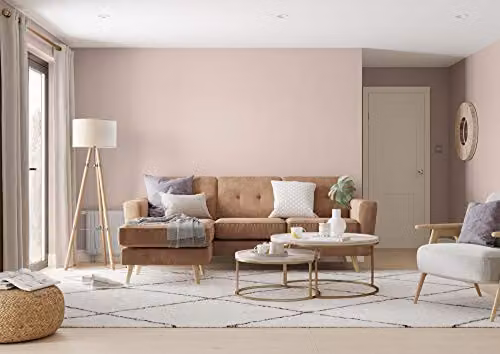 Dulux Water Based Satin Gloss Dispersion Paint in Brown and Beige, 2.5 Litres – 3