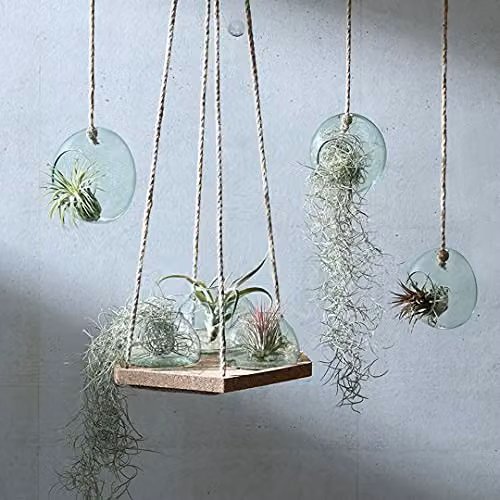 LSA Canopy Clear Glass Hanging Planter, 12cm – 2