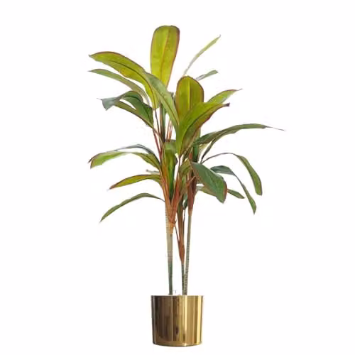 Botanik 100cm Artificial Potted Dracaena Tropical Plant with Gold Planter in Green – 3