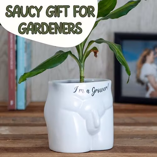 Boxer Gifts I'm A Grower Novelty Ceramic Tabletop Planter in White and Black, W/D/H: 12.0 x 11.0 x 11.0 cm – 3