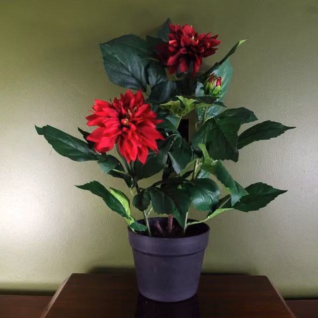 Artificial Red Dahlia Potted Flowering Plant with Black and Red Leaves