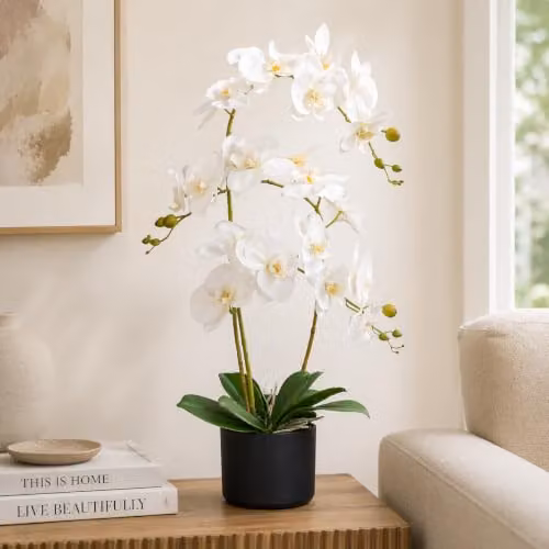 Leaf Design UK Realistic Artificial White and Green Orchid Flower Display in Pot, H 65 cm x W 40 cm x D 40 cm – 2