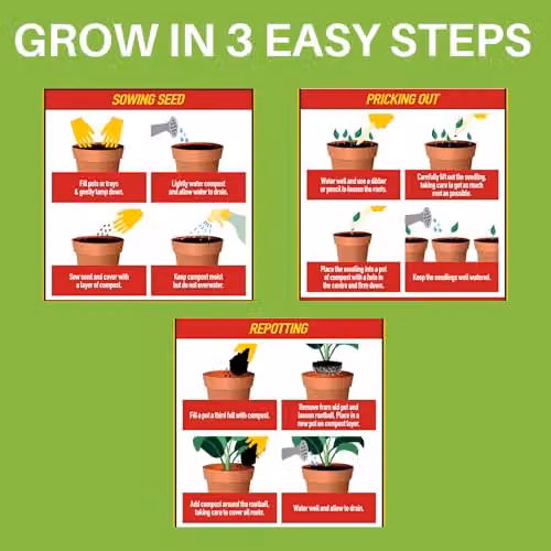 Doff Power Up Multi Purpose Compost, Nutrient Enriched Coco Coir Based Potting Soil – 4
