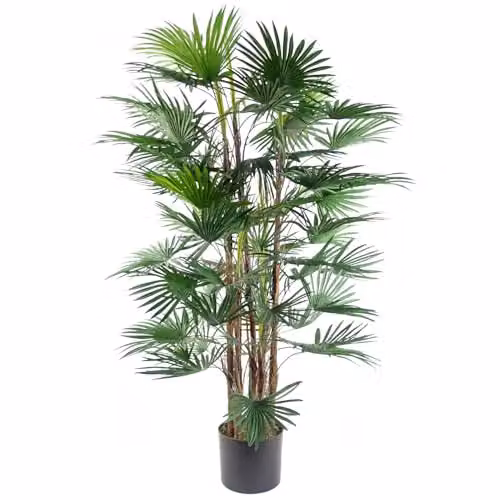 Leaf Large Green Artificial Palm Tree, H 120 cm x W 70 cm x D 70 cm