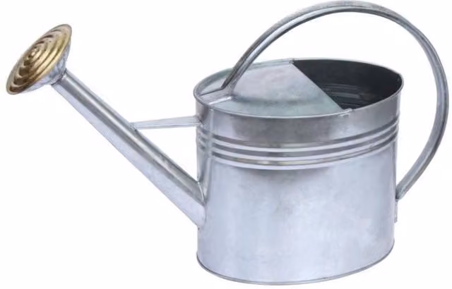 Ambassador Oval Galvanised Steel Watering Can in Silver with Brass Rose