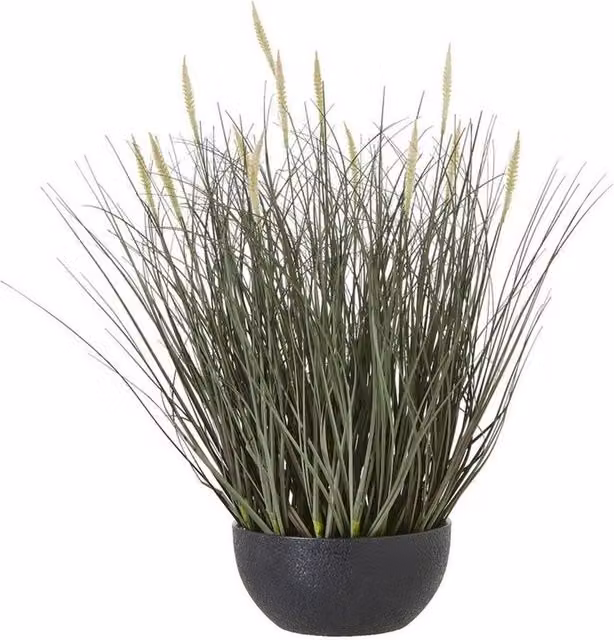 Lemon Pavilion Modern Potted Grass Plant in Black Pot, Green, Height: 50 cm