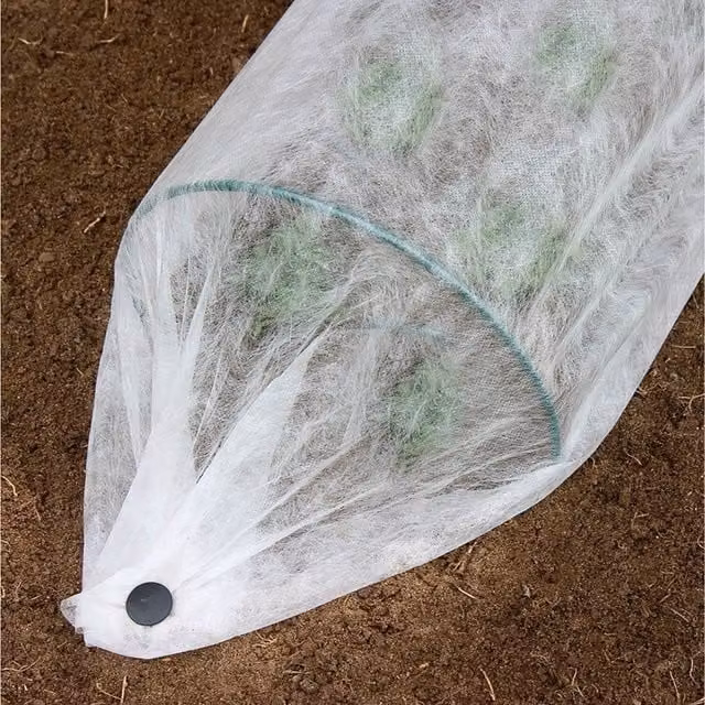 Primrose White Garden Tree Protective Fleece for Winter Protection