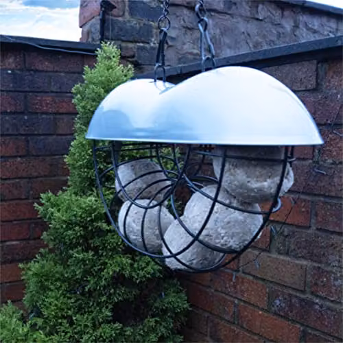 St Helens Home & Garden 3 Ball Suet Cake Bird Feeder with Hanging Chain