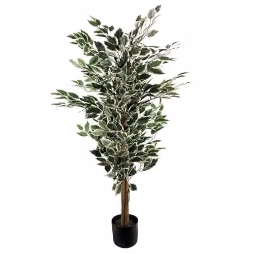 Leaf Design UK Tall Variegated Ficus Tree in White and Green, Height: 130 cm – 1