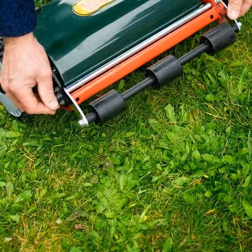 Webb WEH30 Sidewheel Manual Hand Push Cylinder Lawnmower in Black and Green with 4 Cutting Heights, 30cm Cutting Width and 17L Collection Bag – 3