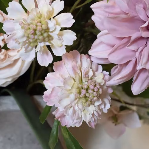 Hill Interiors Scabious Stem Artificial Plant, Pink, Height: 65 cm – 2