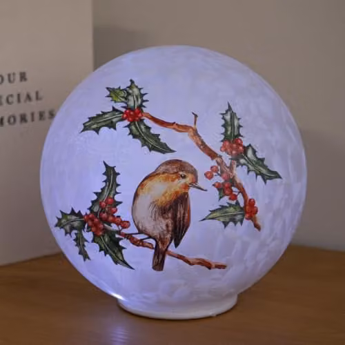 Samuel Alexander Light Up Christmas Glass Robin Bauble with Cool White LEDs, Diameter: 20 cm
