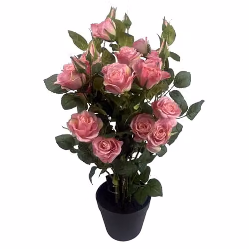 Botanik UK Pink Rose Artificial Flowering Tabletop Tree H 60 cm x W 30 cm x D 30 cm – 1