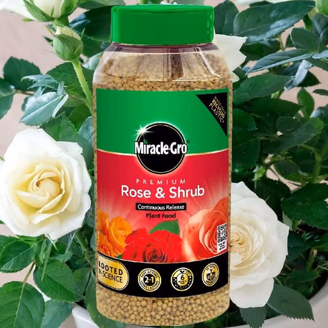 Miracle-Gro Premium Rose and Shrub Continuous Release Plant Food, 900g – 7