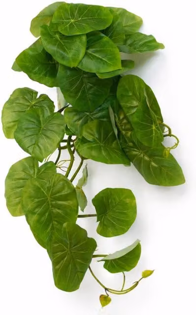 Leaf UK Green Artificial Hanging Heart Leaf Plant – 1