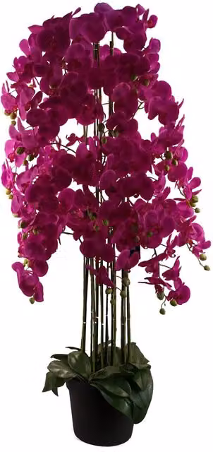 Leaf Design UK Realistic Potted Artificial Orchid Flower Display in Purple and Green, Height: 150 cm – 4