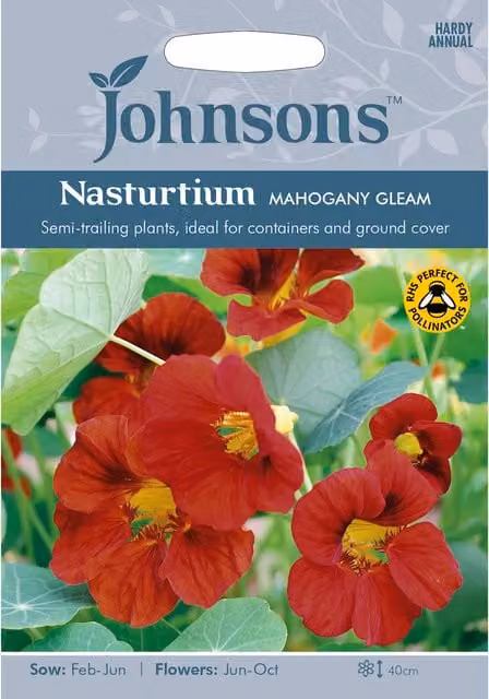 Johnsons Mahogany Gleam Nasturtium Red Flower Seeds