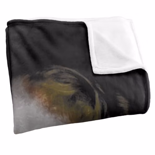 LOGOVISION The Dark Knight Heath Ledger Joker Face Super Soft Fleece Throw Blanket, W/D/H: 91 x 147 cm, Multicolour – 2