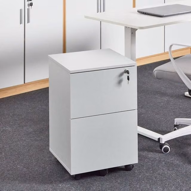 Wyld and Coco Light Grey 2-Drawer Key-Locked Office Storage Unit on Castors