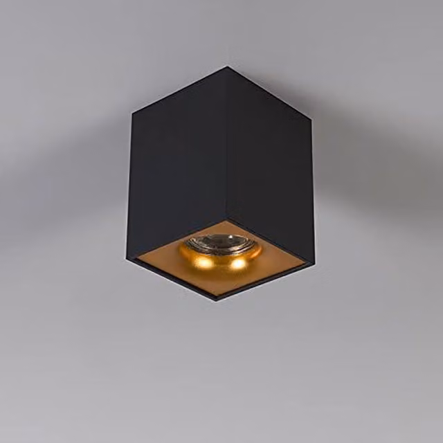 CGC Sandra Square Single Surface Mounted Spotlight in Black
