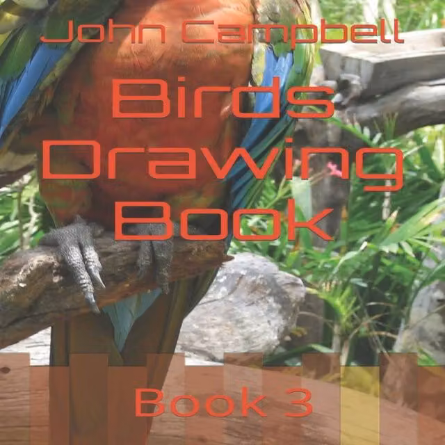 John Campbell Birds Drawing Book 3 Multicolour Paperback