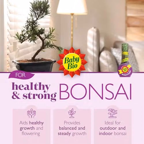 Baby Bio Bonsai Food Liquid Concentrate Fertiliser, 175 ml – 3