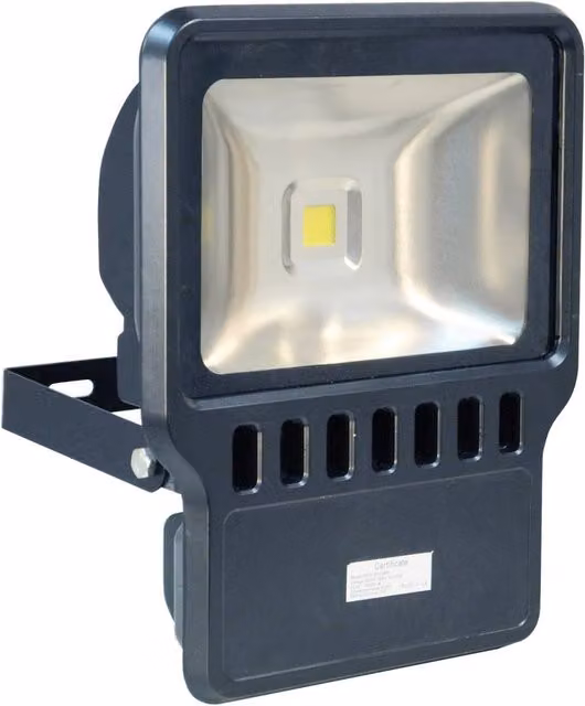 Eagle 100W LED Floodlight in Black with Aluminium and Glass Housing, IP65 Rated