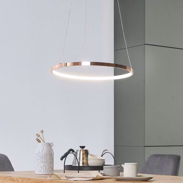 Wyld and Coco Gold Aluminium LED Ring Pendant Lamp, Diameter: 50 cm