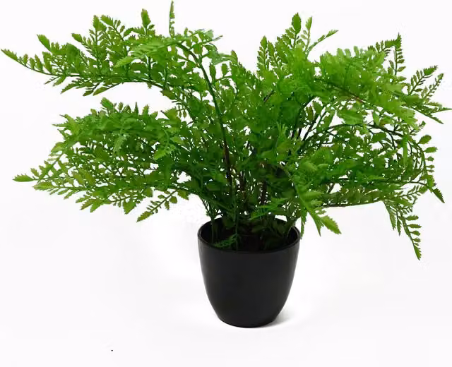 Display Ready Artificial Potted Southern Wood Fern in Black Pot, Green