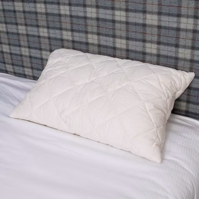 Native Set of 2 White New Wool Filled Rectangular Pillows – 1