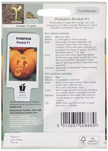 Johnsons Seeds Pumpkin Rocket F1 Vegetable Seeds – 2