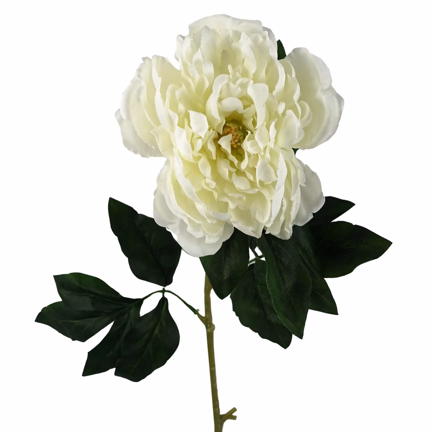 Leaf Pack of 6 Artificial Cream Peony Textile Stems, Height: 80 cm – 3