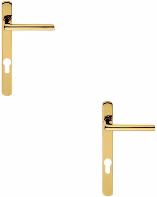 Loops 2x Pair Straight Lever on Narrow Euro Lock Backplate in Stainless Brass, W: 220 mm, H: 26 mm
