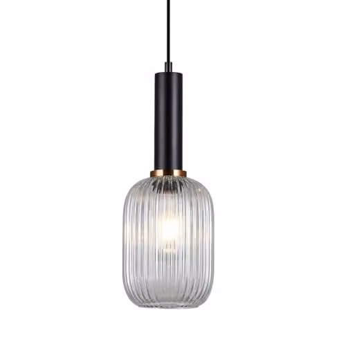 Netlighting Modern Black Hanging Pendant Light with Transparent Glass Shade, E27