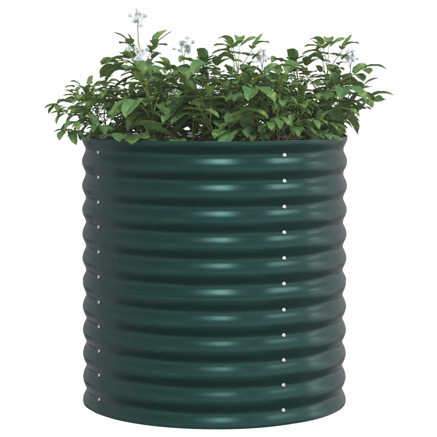 Berkfield Home Garden Green Galvanised Steel Raised Bed W/D/H: 80 x 80 x 81 cm – 3