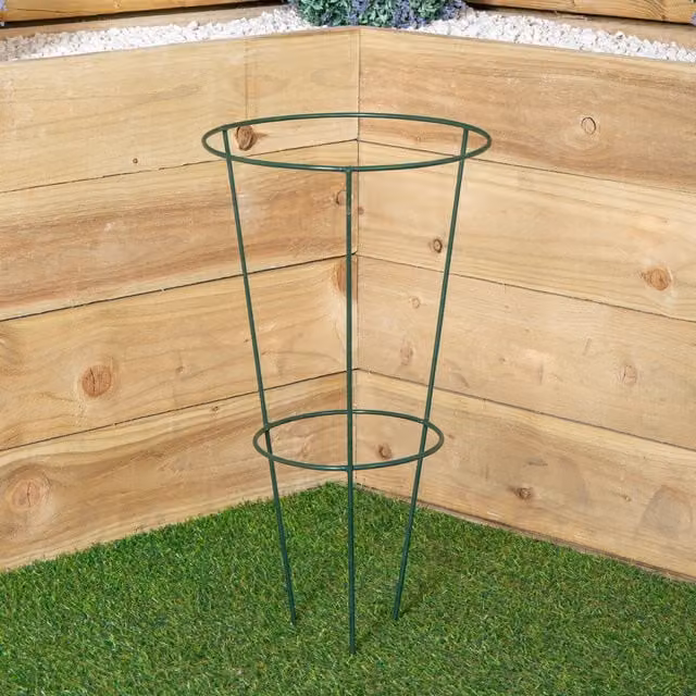 Tom Chambers Urban Green Conical Garden Plant Support Ring, Diameter: 30 cm