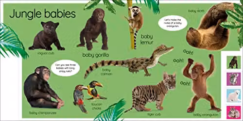 DK My First Baby Animals Let's Find Our Favourites Multicolour Board Book – 3