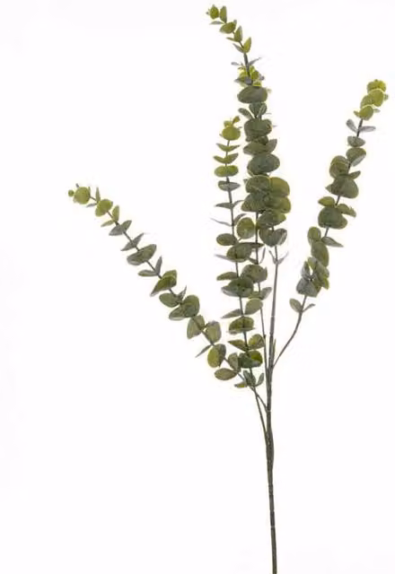 Lemon Pavilion Furniture and Decor Gunnii Eucalyptus Artificial Plant Spray, Green, W: 8 cm, D: 8 cm, H: 90 cm