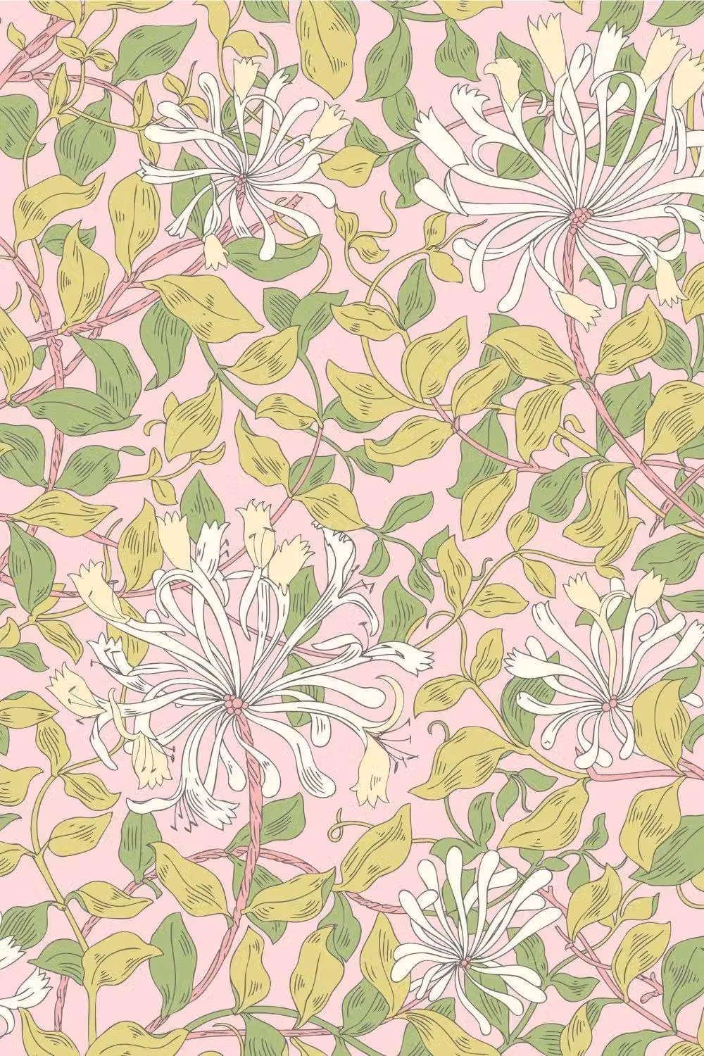 Hoopla Walls Honeysuckle Leaf Trail Matt Wallpaper in Baby Pink – 2
