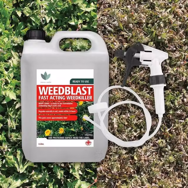 Gainsborough Glyphosate Free Weed Killer Spray, 5 l