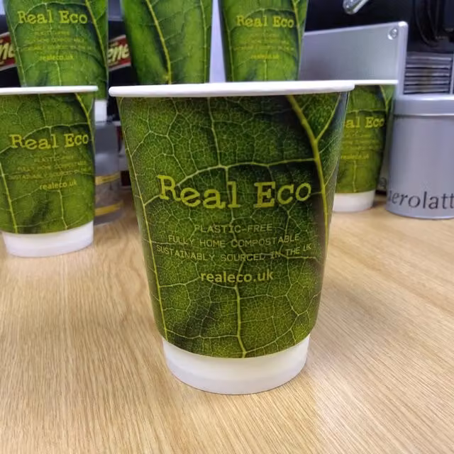 REAL ECO 100 Pack Double Walled Biodegradable Disposable Paper Cups, 355 ml, Green