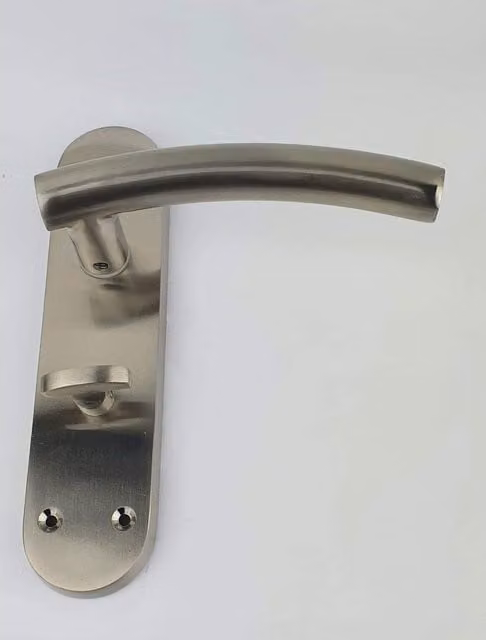 Golden Grace Brushed Silver Stainless Steel Bathroom Door Handles on Backplate